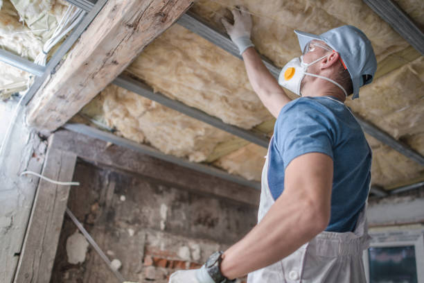 Best Geographic-Specific Insulation Services in St Peter, MN