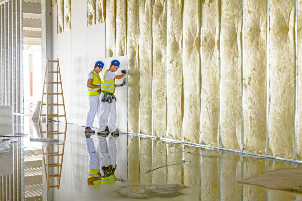 Types of Insulation We Offer in St Peter, MN